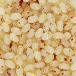 Jelly Belly jellybeans Toasted Marshmellow