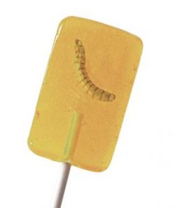 Snack insecten lolly meelworm