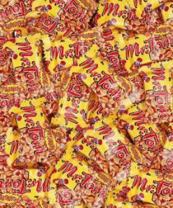 Mr.Tom Mini's